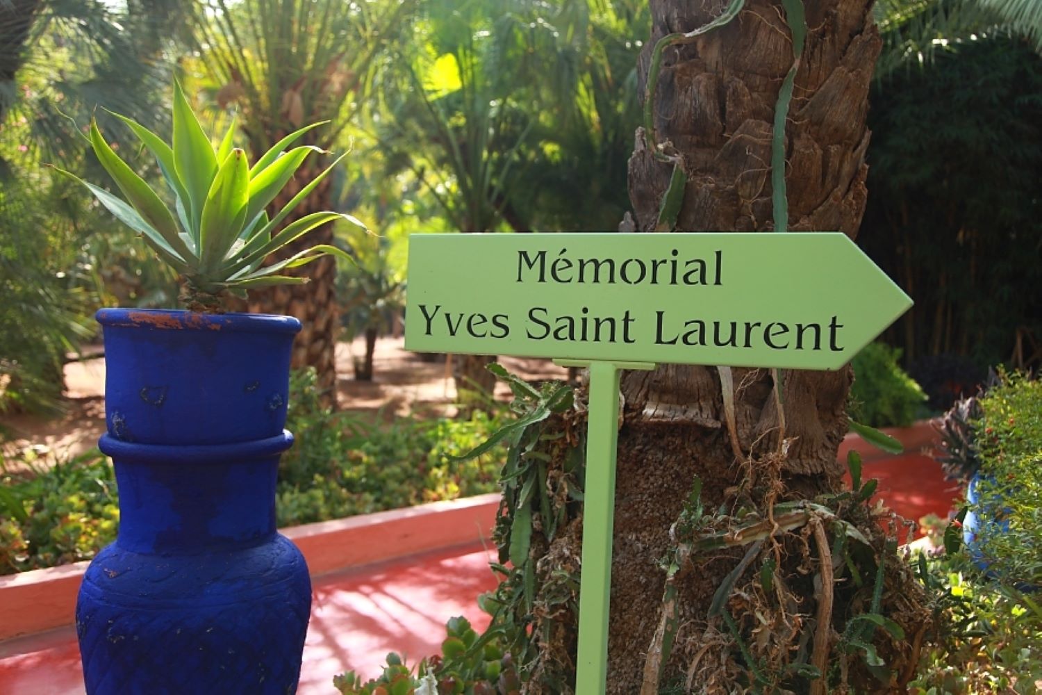 Cesta do Marrákeše: Yves Saint Laurent, jeho srdcová vila a zahrada Majorelle