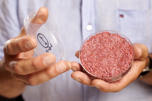 Umělé maso nebude. Italský návrh zákona zakazuje jeho výrobu i prodej