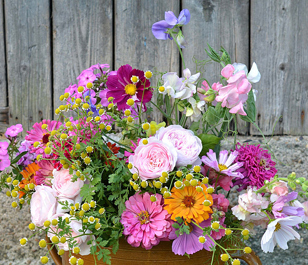 KVÍZ: Milujete řezané květiny? Vyhrajte knížku, která vás naučí je pěstovat