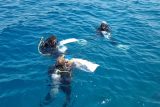 Na Novém Zélandu utrpěl zranění český profesionální potápěč. Za ‚pupeční šňůru‘ jej stáhl lodní šroub
