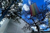 Česká farářka otevřela dveře vídeňského kostela LGBTQ+ a uprchlíkům. ‚Nejde o marketing,‘ líčí