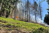 Hoří les u Kraslic v Krušných horách. Hasiči vyhlásili druhý stupeň požárního poplachu