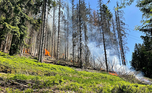 Na Sokolovsku hoří les, do akce se zapojili i hasiči z Německa a vrtulník