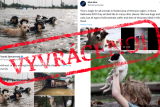 OVĚŘOVNA: Lidé sdílí staré fotografie jako záznam katastrofy po protržení Kachovské přehrady