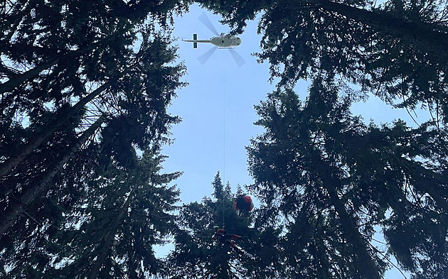 Paragladista skončil v korunách stromů 25 metrů nad zemí, zasahoval vrtulník