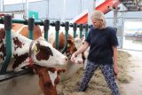Zemědělcům v Královéhradeckém kraji vadí nízké výkupní ceny mléka a to, že ji nedokáží ovlivnit