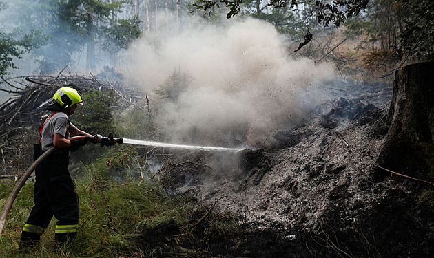V národním parku České Švýcarsko zasahují hasiči, u Jetřichovic hoří les