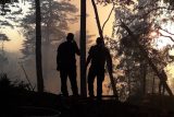 OBRAZEM: Požár v Českém Švýcarsku je uhašen. V těžkém terénu se vystřídaly desítky hasičů i vrtulník