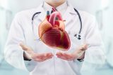 Srdci škodí fastfood i energy drinky, říká kardiolog. Jak prodloužit život ve zdraví až o deset let?