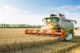 EU ukončila embargo na ukrajinské obilí. ‚Stejně nefunguje, dovoz probíhá dál,‘ míní šéf zemědělců