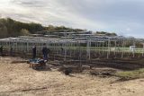 Výroba elektřiny i ochrana pro rostliny. Mendelova univerzita testuje solární panely nad vinohrady