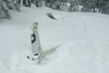 Záchranáři v Alpách vyprostili vrak českého letadla. Ležel v ,Ledové jámě‘ ve výšce 1500 metrů nad mořem