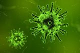 Nemocnice by před viry mohl chránit ‚ostnatý drát‘. Antivirová nanotechnologie se inspirovala u vážek
