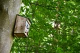 Frýdek-Místek dodá do parků nové budky a podpoří tím hnízdění drobných ptáků. Vydržet mají 25 let