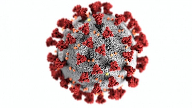 Soukromí v době koronaviru: jaký je odkaz pandemie a co má význam i pro dnešek