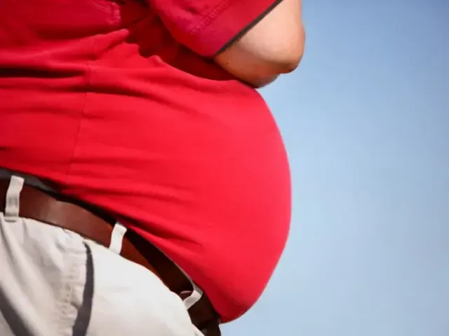 V roce 2030 bude více než třetina Čechů trpět obezitou, tvrdí WHO