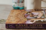 Zkušební výtisk Harryho Pottera vydražili za 11 tisíc liber. Původní majitelka ho koupila náhodou
