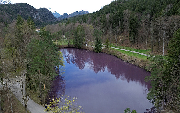 VIDEO: Bavorské jezero se zbarvilo do fialova, turisté ho berou útokem