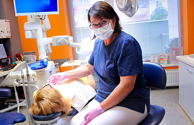 Za zubařem do Srbska. Slováci míří kvůli opravě zubů stále častěji za hranice