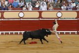 Španělská vláda letos neudělí cenu býčích zápasů. Důvodem je znepokojenost občanů z mučení zvířat
