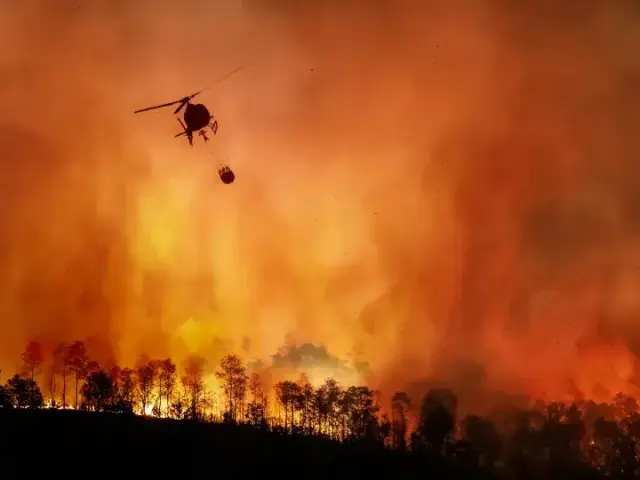 Les na Mladoboleslavsku v plamenech, kvůli obtížnému terénu hasiči nasadili i vrtulník