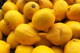 ‚Produkce se vymkla kontrole.‘ Ve Španělsku přijde nazmar 400 000 tun citrónů