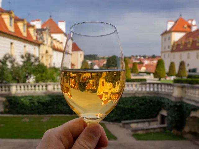 Zpátečka u daně na tiché víno. S opozicí by zákon zřejmě zařízla i jižní Morava