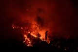 Kanada opět bojuje s lesními požáry, v západních provinciích se evakuovaly tisíce lidí