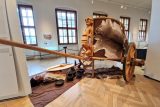 ‚Pravěké jižní Čechy měly kontakty po celé Evropě.‘ Výstava v Jihočeském muzeu popisuje život Keltů
