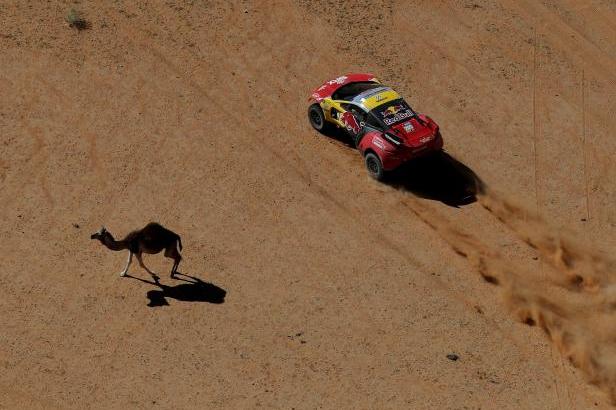

Rallye Dakar odstartuje 3. ledna, na závodníky čeká dvoudenní etapa i hromadný start


