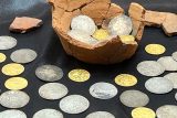 Památkáři ukázali nově objevený zlatý a stříbrný poklad. Stovku grošů a dukátů našli v centru Opavy