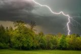 Meteorolog: Riziko zásahu bleskem je malé. Proč to ale pokoušet? Nejhorší je schovat pod stromem