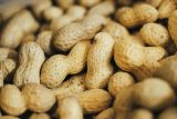 Předejít alergii na arašídy by mělo být možné. Stačilo by je včas zařadit do jídelníčku kojence