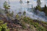 V národním parku České Švýcarsko hoří les. Kvůli těžce přístupnému terénu zasahuje i vrtulník