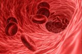 Covid podle vědců způsobuje změny krevních buněk. Zjistili to díky nové metodě focení krvinek