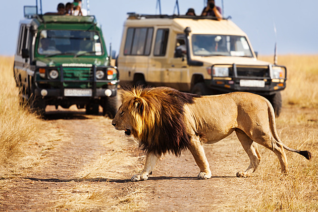Pozemské ráje: na pořádném safari v Tanzanii dáte rádi zvířatům přednost