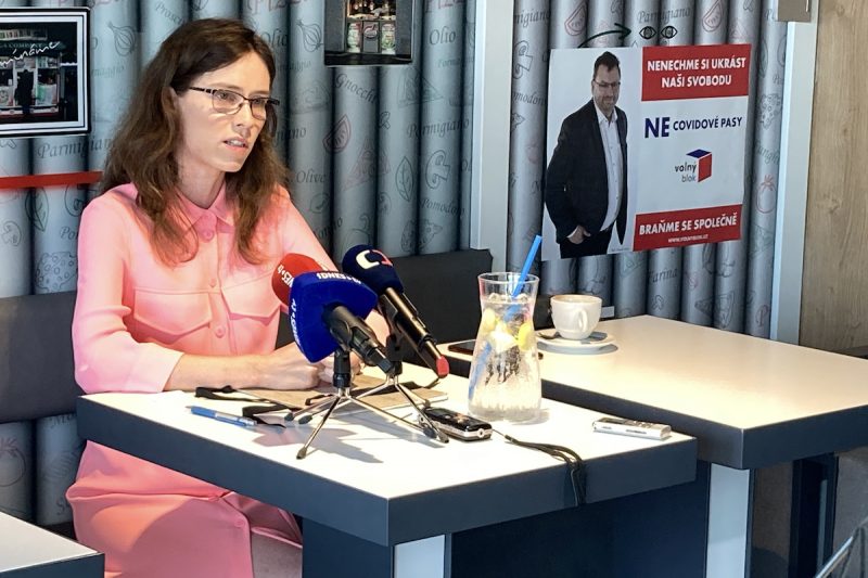 Lipovská kandiduje do sněmovny za Volný blok, v Radě ČT přitom zůstane